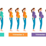 pregnancy symptoms by trimester