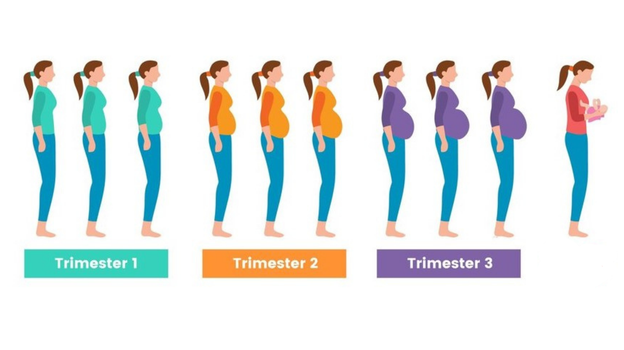 pregnancy symptoms by trimester