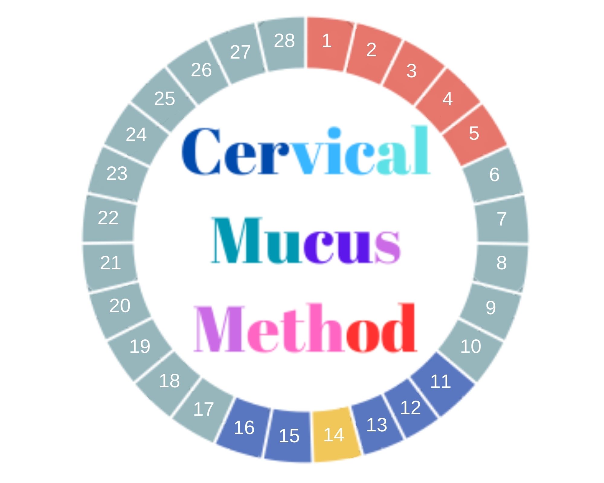 cervical mucus method