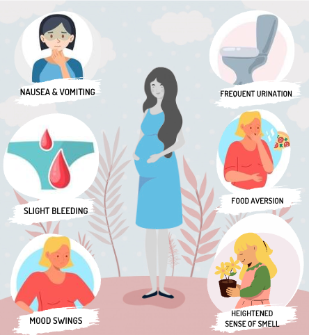 Early pregnancy signs