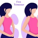 changes in body first trimester